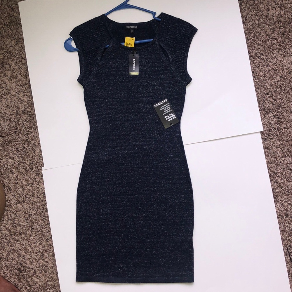 Brand new Express Black Shinny Dress